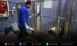 Buca’nın can dostlarına “beş yıldızlı” bakım