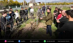 Buca’nın üzüm bağları genç ziraatçilere emanet