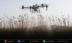 İzmir’de teknolojik vektör mücadelesi