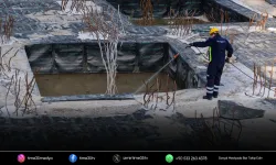 Mevsimsel sinekler hakkında önemli açıklama