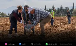 Büyükşehir çiftçinin bahçesini yeniden yeşertti