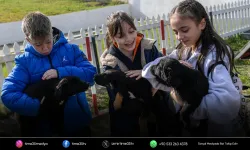 Büyükşehir’den hayvan sahiplenme çağrısı