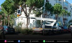 Karşıyaka'da ağaçlar bahar dönemine ve bayrama hazırlanıyor