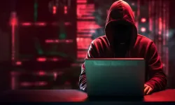 ‘Siyah şapkalı hacker’ çetesine darbe