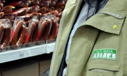 Taklit ve tağşiş listesine 64 yeni ürün eklendi