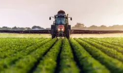 Tarımsal girdi fiyatları ocakta arttı