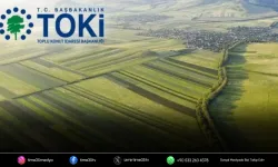 İzmir’de dev arsa müzayedesi: 25 taşınmaz satışa çıkıyor