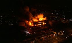 Trabzon'da fındık fabrikasında yangın