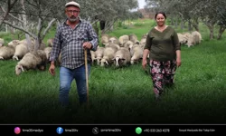 Babasının hediye ettiği kuzuyla çiftlik kurdu