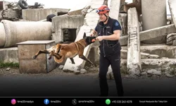 Barınaktan kurtarılan Momo afetlere hazırlanıyor