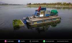 İzmir Körfezi’nde yosunla mücadele