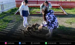 İzmir’de patili dostlarla umut veren proje