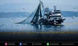 Denizlerde av yasağı 15 Nisan'da başlıyor