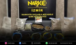 İzmir’de 16,5 kilo skunk ele geçirildi