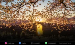 Karşıyaka’da uluslararası fotoğraf yarışması sonuçlandı