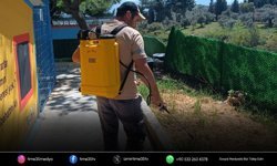 Kuşadası’nda kene riskine karşı erken önlem