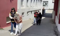 Masaj salonlarına fuhuş operasyonu