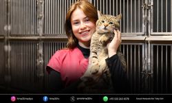 Buca’da 599 sokak hayvanı yeni yuvasına kavuştu