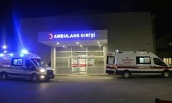 Tartıştığı eşini tabancayla öldürdü