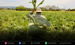 Enginarın kalbi 1-2-3 Mayıs’ta Urla’da atacak