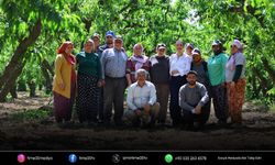 Başkan Sengel çiftçilerle hasada katıldı