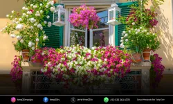 Gaziemir’in en güzel balkon ve bahçeleri seçiliyor
