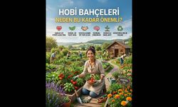 Hobi Bahçeleri: Hakkaniyetli Bir Çözüm Beklentisi