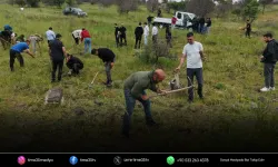 İzmir’de yangın alanı yeniden yeşeriyor