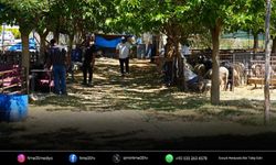Seferihisar’da kurban bağışları ihtiyaç sahiplerine ulaşacak
