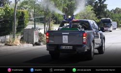 Bayraklı’da yaz öncesi ilaçlama çalışmaları hızlandı