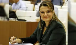ANSET'e üçüncü dalga operasyonu: 9 gözaltı