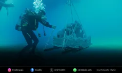 Atık midye kabukları deniz yaşamına dönüşüyor