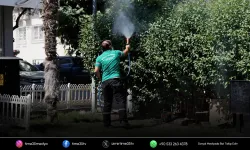 Balçova’da haşerelere karşı kapsamlı mücadele
