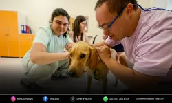 Patili dost Bal, merkezin neşesi oldu