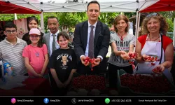 Bornova’da kiraz bereketi coşkuya dönüştü