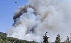Çeşme'deki otluk alan yangını kontrol altına alındı