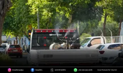Gaziemir'de ilaçlama çalışmaları devam ediyor