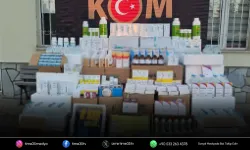 Hayvan sağlığını tehdit eden ilaç operasyonu