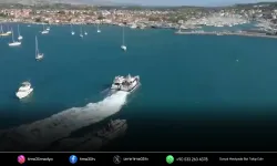 Seferihisar'da 764 kilo skunk ele geçirildi