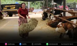 Menderesli kadın çiftçi azmiyle örnek oldu