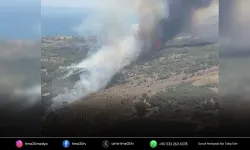 Dikili’de tarım arazisinde yangın paniği
