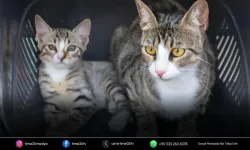 6 milyonda 1 görülen olay İzmir'de yaşandı