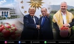 Emiralem çileği NATO Zirvesi sofralarında yer aldı