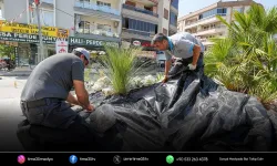 Gaziemir Belediyesi kurakçıl peyzajı yaygınlaştırıyor