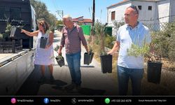 Bornova'da üreticiye tarımsal destek seferberliği
