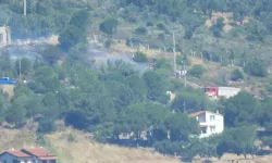 Cunda Adası'nda orman yangını