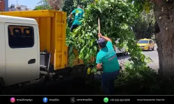 Efeler'de park ve yeşil alanlarda bakım sürüyor