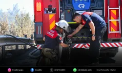İzmir İtfaiyesi bukalemunu hayata döndürdü