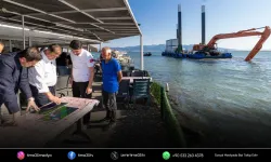İzmir Körfezi'nde 25 yıl sonra jumbo karides sevinci