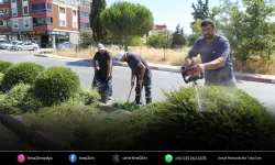Başkan Çiçek saha çalışmalarını yerinde inceledi
